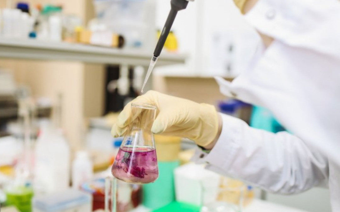 Staże uczniowskie w branży chemicznej